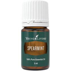 Young Living Spearmint (Grüne Minze) 5 ml