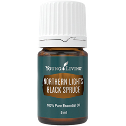 Young Living Northern Lights Black Spruce (Schwarz Fichte) 5 ml