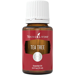 Young Living Essential Oils Teebaumöl Tea Tree 15 ml