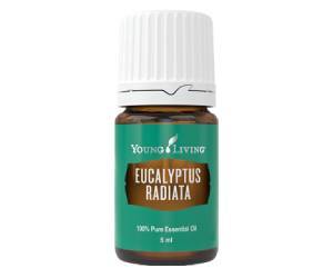 Young Living Eukalyptus Radiata 5 ml